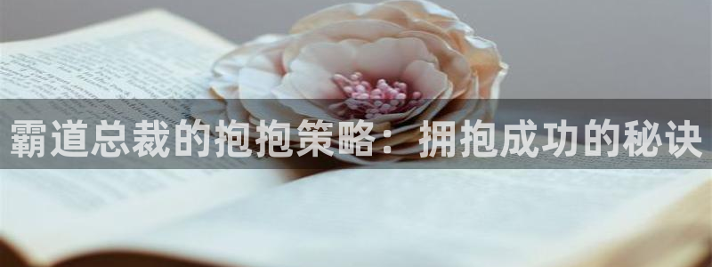 奇漫屋.：霸道总裁的抱抱策略：拥抱成功的秘诀