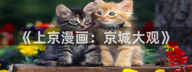 奇漫屋漫画免费观看：《上京漫画：京城大观》